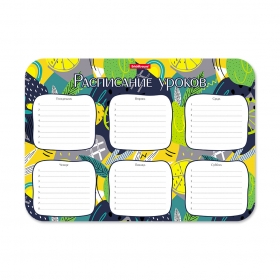 Расписание уроков пластиковое ErichKrause Lime, А4` 55997