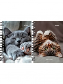 Записная книжка А6, 120л. МИЛЫЕ КОТИКИ - 6 (ЗК120-3019) на гребне, цветн. мелов. обл. ЗК120-3019