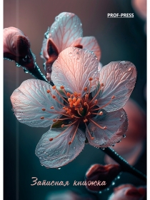 ЗАПИСНАЯ КНИЖКА А7 64л. КРАСИВЫЙ ЦВЕТОК (64-1690) перепл. 7БЦ, глянц.ламинация 64-1690