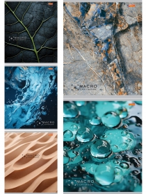 Тетрадь КЛЕТКА 48л. ПРИРОДА ВБЛИЗИ (48-3910) (обл. - цвет. мелов., второй блок)