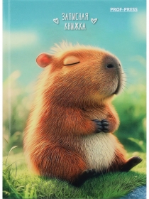 ЗАПИСНАЯ КНИЖКА А7 48л. МИЛАЯ КАПИБАРА - 3 (ЗК48-0088) перепл. 7БЦ, глянц. ламинация ЗК48-0088