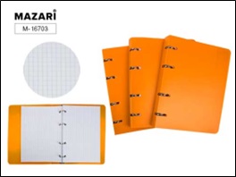 Тетрадь общая на кольцах в клетку, А5, 80 листов, 60гр/м2, белизна 100%, обложка пластик - оранжевый, упаковка- пакет M-16703