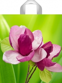 Пакет ПЭ с петлевой ручкой 44х40+6см (75) (Цветок) Тико (х50/300) ПТЛ58800