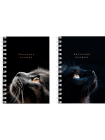 Записная книжка А6, 80л. ВЗГЛЯДЫ КОТИКОВ (80-3751) на гребне, цветн. мелов. обл. 80-3751